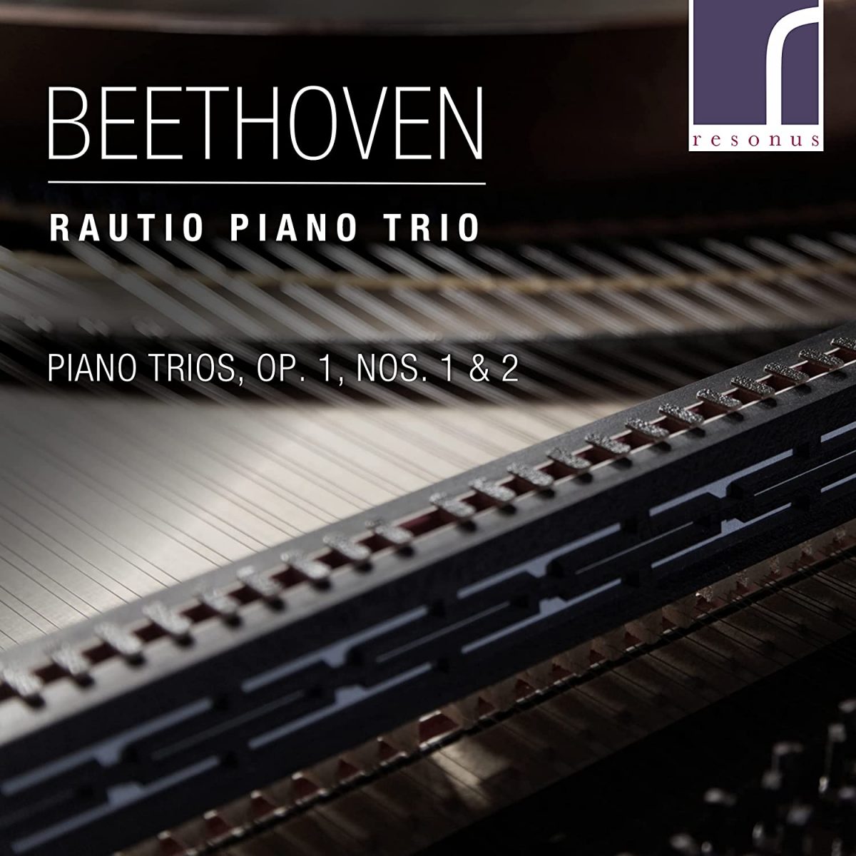 CD cover Rautio Trio Beethoven op 1 nos 1 and 2
