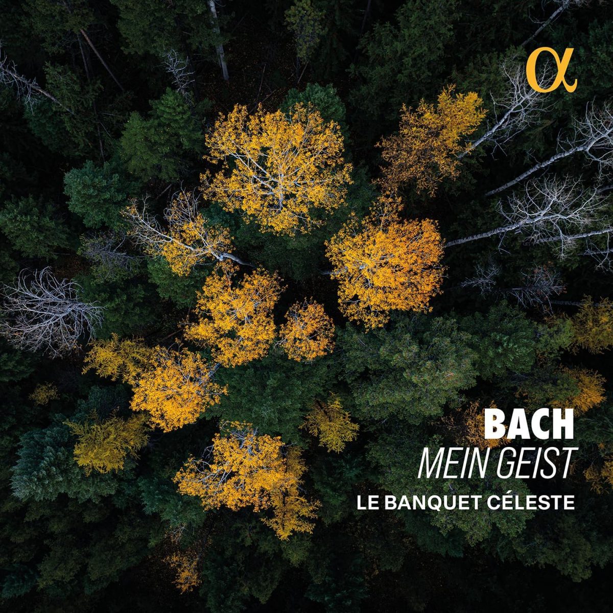 CD cover Bach Mein Geist